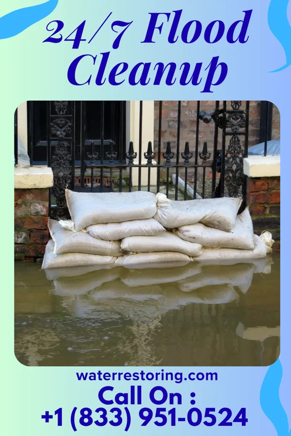 24/7 Flood Cleanup in Riverton, MN