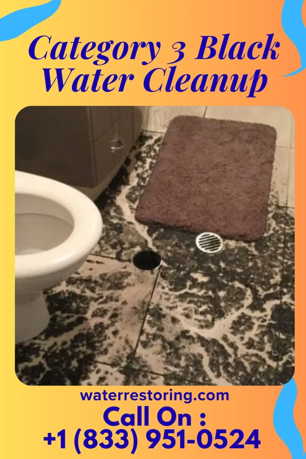Category 3 Black Water Cleanup in Riverton, MN