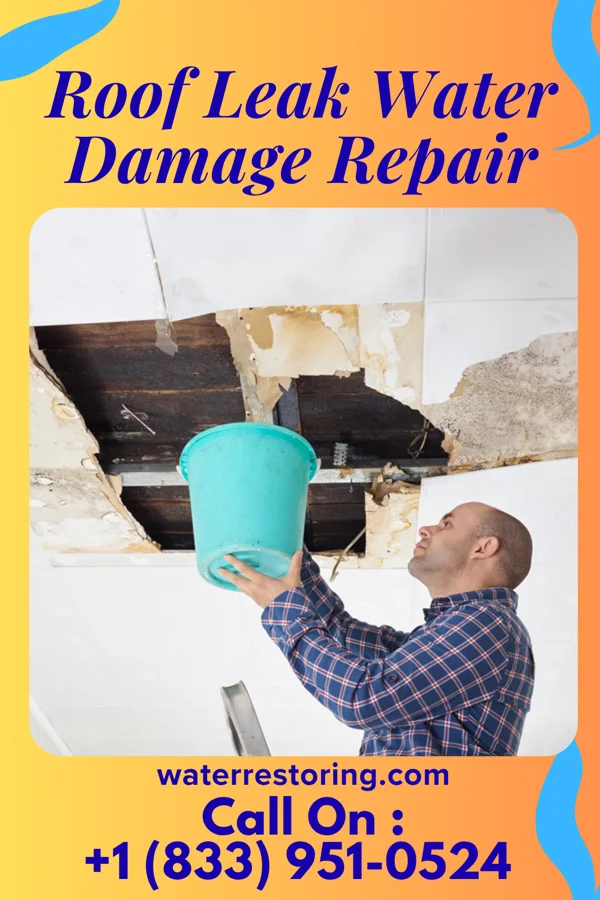 Roof Leak Water Damage Repair in Riverton, MN